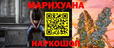 индика Можга