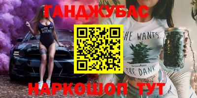 индика Можга