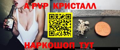 индика Можга